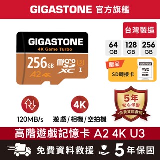 【GIGASTONE】資料救援記憶卡A2 U3 256G/128G/64G｜臺灣製造microSD/64GB/128GB