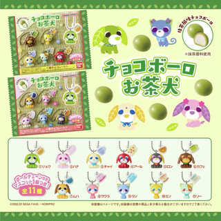日版現貨 元氣小茶犬 BANDAI CANDY 盒玩 食玩 公仔吊飾 萬代 抹茶巧克力球餅乾 綠茶犬 茶貓 SEGA