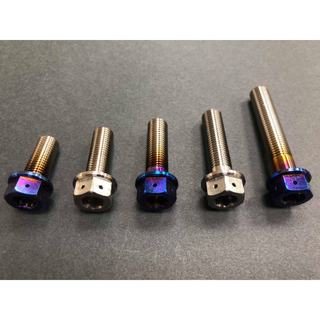 全新 POSH M10 鈦合金螺絲 鈦合金 螺絲 燒鈦螺絲 正鈦螺絲 10MM