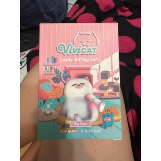 泡泡瑪特 × VIVI CAT 慵懶貓懶坐系列盲盒Big Fish Peanuts Watch TV Baseball