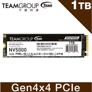 Team 十銓 NV5000 1TB M.2 SSD PCIe 4.0 SSD 固態硬碟