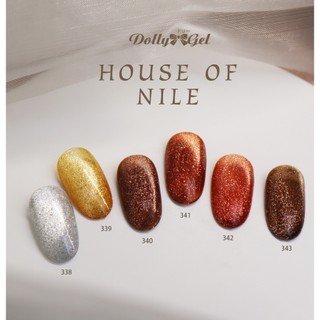 B-Dolly Gel 尼羅金曜 5g RB338-RB343 罐裝膠 貓眼膠 磁石 美甲 奢華金光 現貨出貨