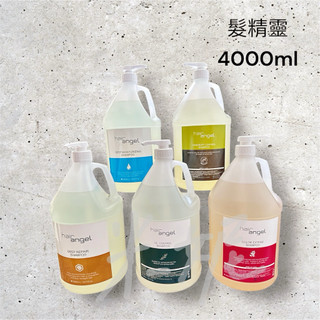 ☀️hair Angel 髮精靈/調理洗髮精 保水洗髮精 護色洗髮精 毛囊洗髮精 修護洗髮精/4000ml