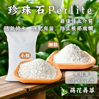 原包裝現貨～珍珠石Perlite(70-80公升) 超硬質 種植介質 透氣排水 保濕保肥 多肉介質 排水透氣介質 觀葉