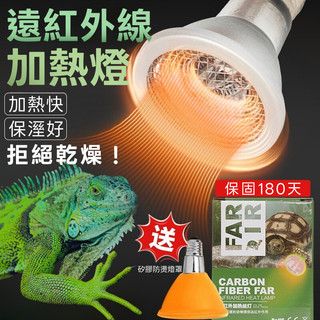 寵物保溫燈 遠紅外線加熱燈 寵物保暖燈 REPTISHOW 瑞秀 陶瓷保溫燈 陶瓷加熱燈 176PA爬寵精品