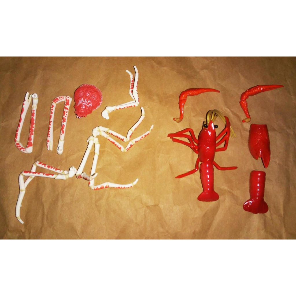 正版 扭蛋 轉蛋 海洋 生物 甲殼 螃蟹 蝦子 現狀合售