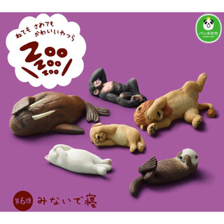 T-ARTS 熊貓之穴 休眠動物園 P6 扭蛋