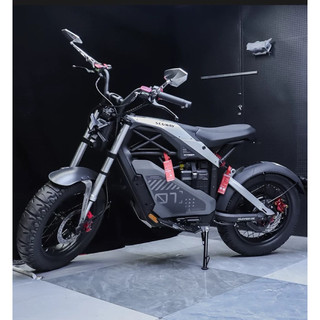 2026年賽格威賽博segway xyber電動越野助力腳踏車 單座/雙座選項，單電池配置48V30AH價格