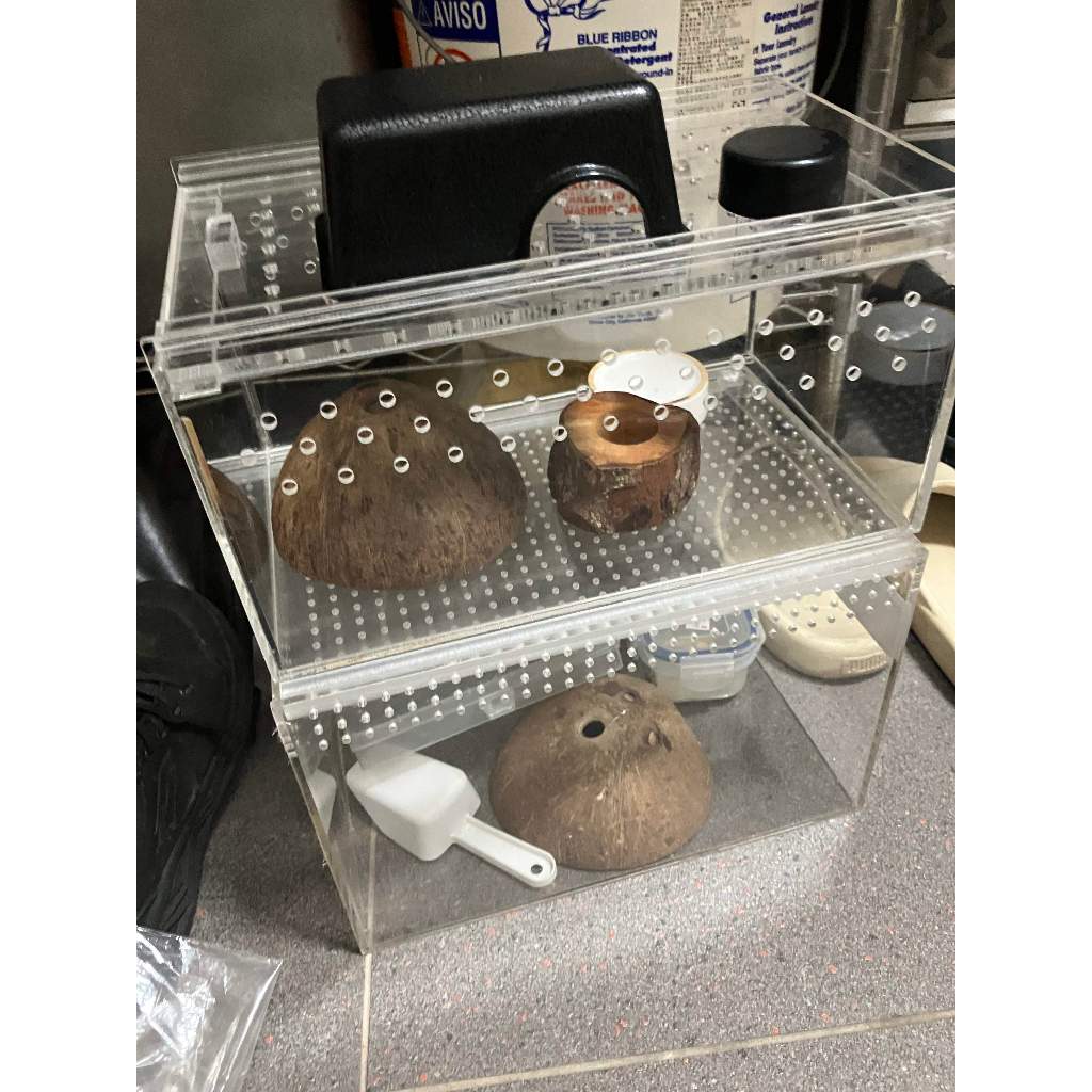 [二手良品]守宮飼養套組/2飼養箱+加熱墊+其他