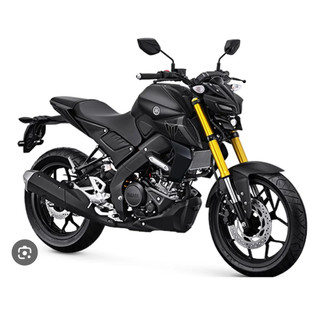 yamaha 山葉機車 mt15 v2 155 機車分期 訂購 驚喜價再贈超級好禮