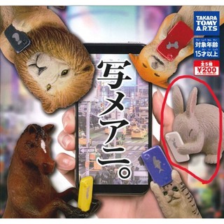 【扭蛋】T-ARTS 自拍動物〘兔子〙款 可議價
