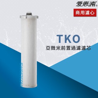 【思維康SWEETCOM】美國原廠愛惠浦 EVERPURE TKO 亞微米前置過濾濾芯 保固黑水公司貨