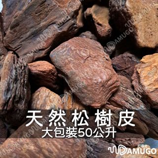 樹皮 園藝資材 木塊 50公升 松樹皮 樹皮塊 蘭花介質