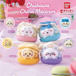【PONS 日本代購】在台現貨✨ 日本 BANDAI 萬代 扭蛋 吉伊卡哇 Chiikawa 馬卡龍公仔 收藏 馬卡龍🍬