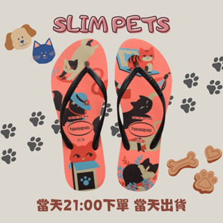 保證低價 限時特價 中壢實體店面 Havaianas哈瓦仕 夾腳拖/人字拖鞋 SLIM PETS 沙灘 海灘 貓咪 女款