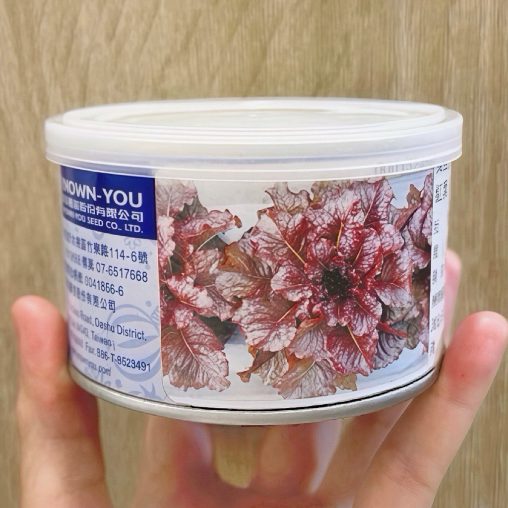 原包裝 1/4磅 農友紅葉萵苣種子 約11萬粒 紅葉萵苣種子 農友萵苣種子 萵苣種子 紅生菜種子 生菜種子 紅萵苣種子