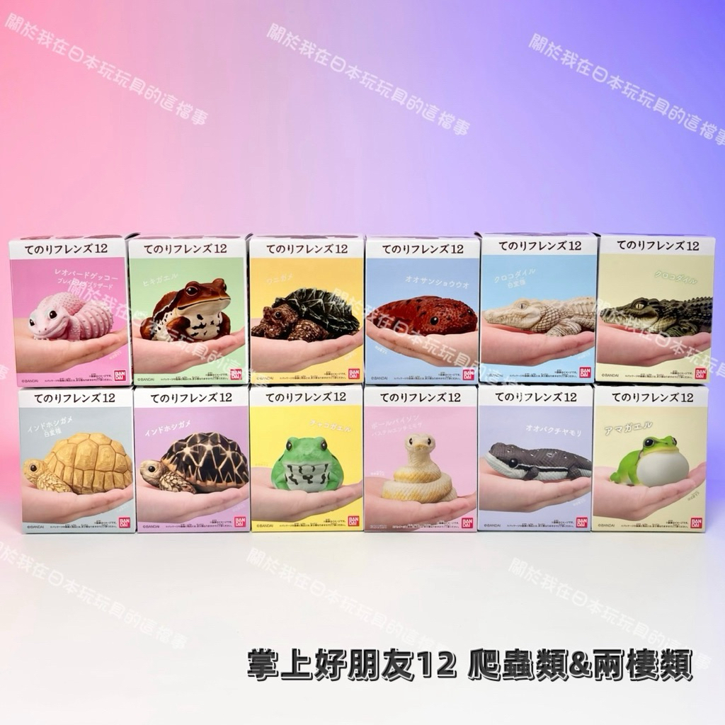 全新現貨 單盒販售🇯🇵日版 掌上好朋友12共12款 爬蟲類&兩棲類 掌中好朋友12 盒玩