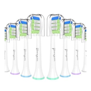 歐版 五支 台製 刷頭 適用 PHILIPS 飛利浦 Sonicare 2100系列 242B