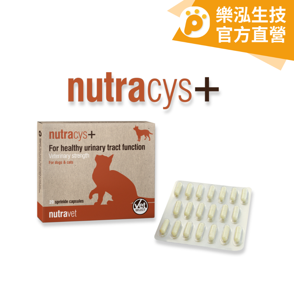 Nutracys®+樂寵 - 尿益通+ 犬貓專用情緒輔助 維持良好泌尿功能 寵物保健〈220顆/盒〉 【樂泓生物科技】