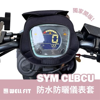 【威飛客 WELLFIT】sym clbcu 蜂鳥 液晶儀表保護套(防曬、防水、防刮)