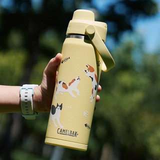 ✨台灣公司原廠正貨✨【美國 CamelBak】Fighting!-600ml Chug保溫瓶(保冰)