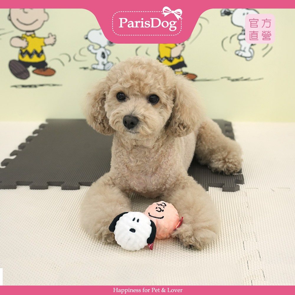 【PEANUTS】史努比互動啾啾玩具球 寵物玩具
