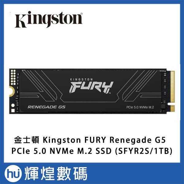 Kingston 金士頓 FURY Renegade G5 1TB PCIe 5.0 NVMe M.2 SSD