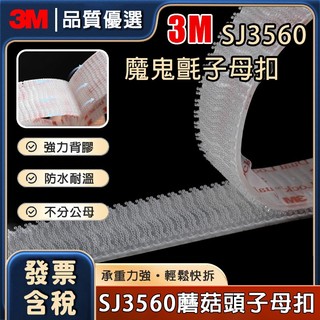 發票含稅🔥現貨免運 3M子母扣 3M魔鬼氈 超強魔鬼氈 蘑菇頭搭扣 背膠魔鬼氈 魔力扣 魔鬼氈 蘑菇搭扣 蘑菇頭魔術貼