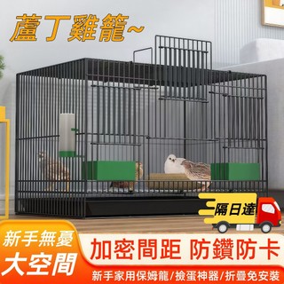 現貨24小時出貨 寵物籠 籠子 🐔🦢🕊蘆丁雞專用籠 小雞籠子 雞籠 鵪鶉籠 小黃鴨 幼兔 兔籠子 鼠龍 倉鼠 貓籠