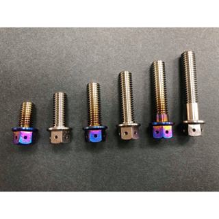 全新 POSH M8 鈦合金螺絲 鈦合金 螺絲 燒鈦螺絲 正鈦螺絲 8MM