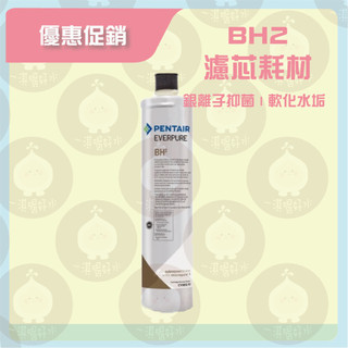 台灣愛惠浦PENTAIR EVERPURE BH2抑菌抑垢濾心 咖啡機 原廠公司貨盒裝濾芯