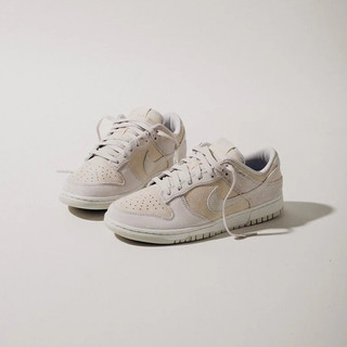 Nike Dunk Low PRM Vast Grey 復古奶油灰 【男鞋】DD8338-001