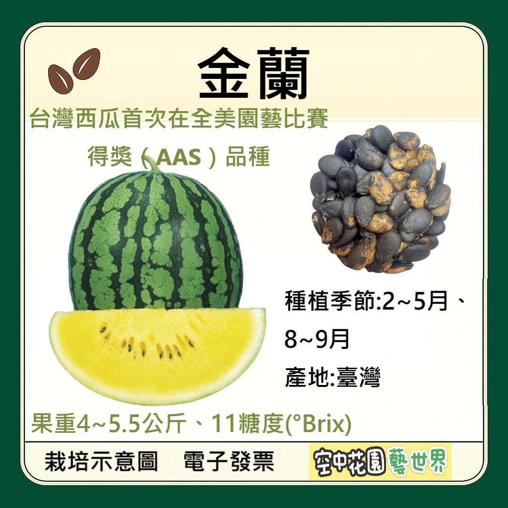 【台灣出貨 電子發票】金蘭黃肉西瓜 種子 中型西瓜 黃肉西瓜 西瓜 菜籽 空中花園藝世界