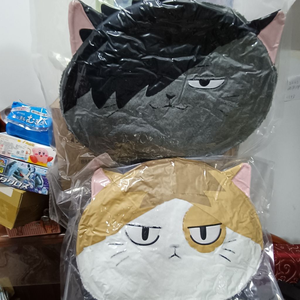 『豬玩具』正版 SK JAPAN 現貨 排球少年 動物造型大臉絨毛  孤爪研磨貓咪 黑尾鐵朗貓咪 靠枕