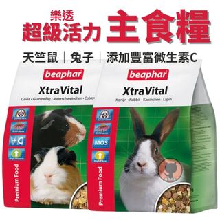 【尾巴太太】（⭕️主食飼料⭕️）樂透beaphar超級活力成兔飼料 天竺鼠 成兔飼料 小型寵物