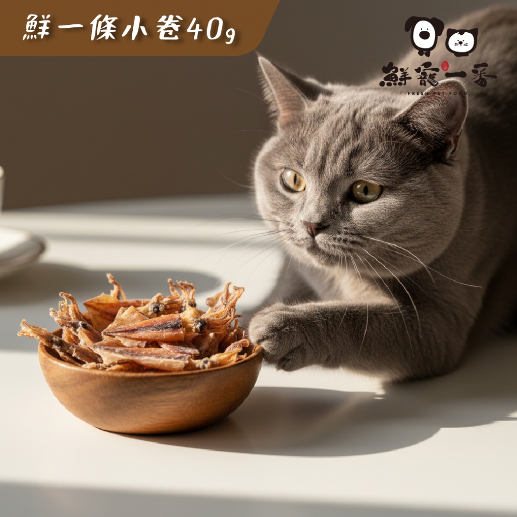 鮮寵一番-冷凍乾燥鮮一條小卷 單罐/40g 海鮮 寵物凍乾 寵物鮮食 凍乾零食 天然寵物零食 寵物飼料