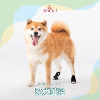 anifull 露趾型-愛犬護足-狗狗腳掌 狗狗行走問題 狗狗走路拖地 狗狗關節問題 狗狗步行輔助 狗狗腳掌防滑 狗狗防