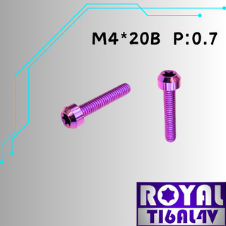 【瘋螺絲】ROYAL 鈦合金螺絲★ M4*20B P:0.7 錐形螺絲★64鈦/正鈦/鈦合金螺絲★出貨附發票★皇家紫
