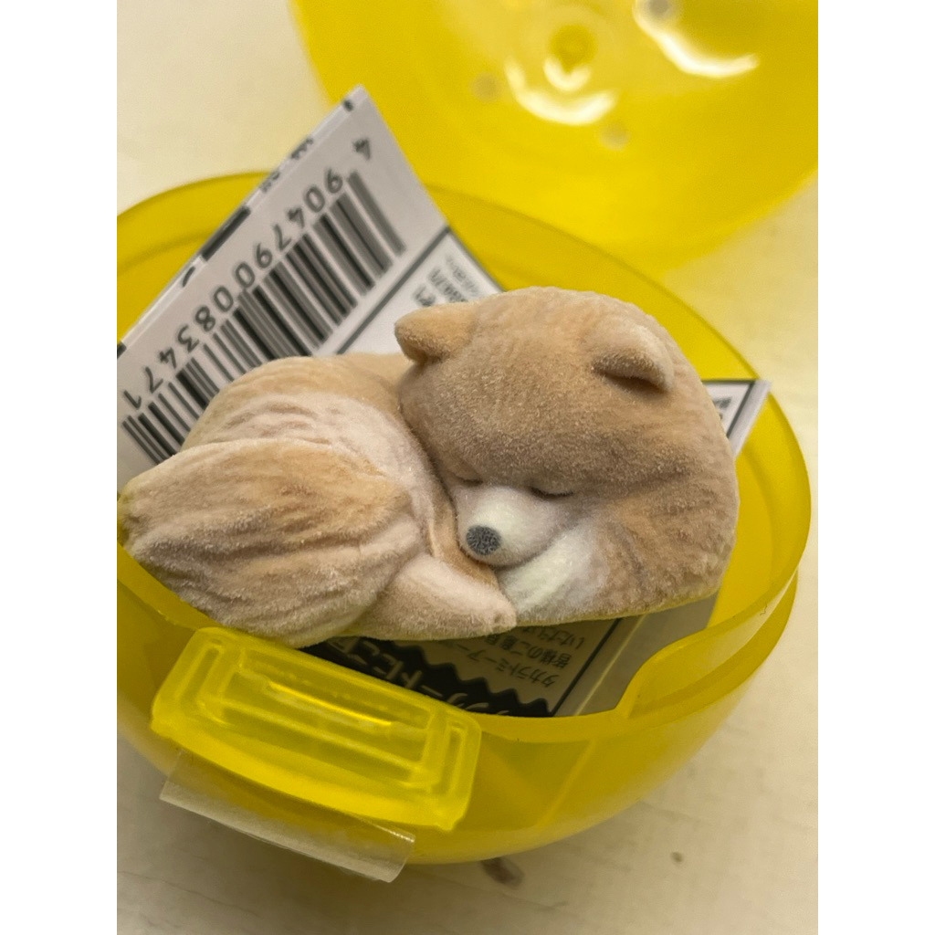 扭蛋 正版 T-ARTS 植絨博美犬公仔 博美犬 動物 狗睡覺