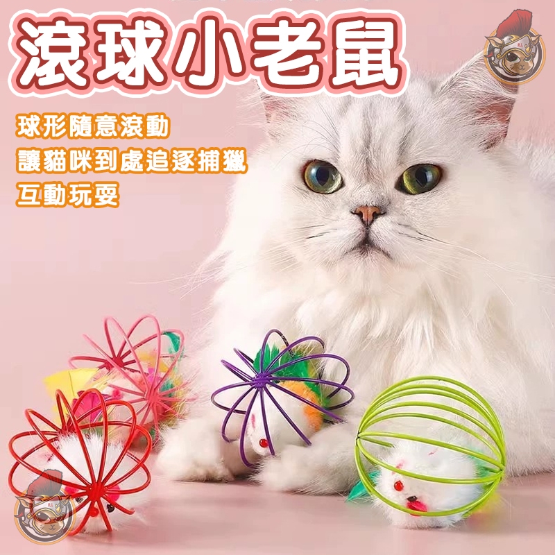 寵物玩具 滾球小老鼠 雙色小老鼠 逗貓玩具 貓咪玩具 籠中鼠玩具 球中老鼠 貓玩具  貓咪小老鼠玩具 龍中鼠
