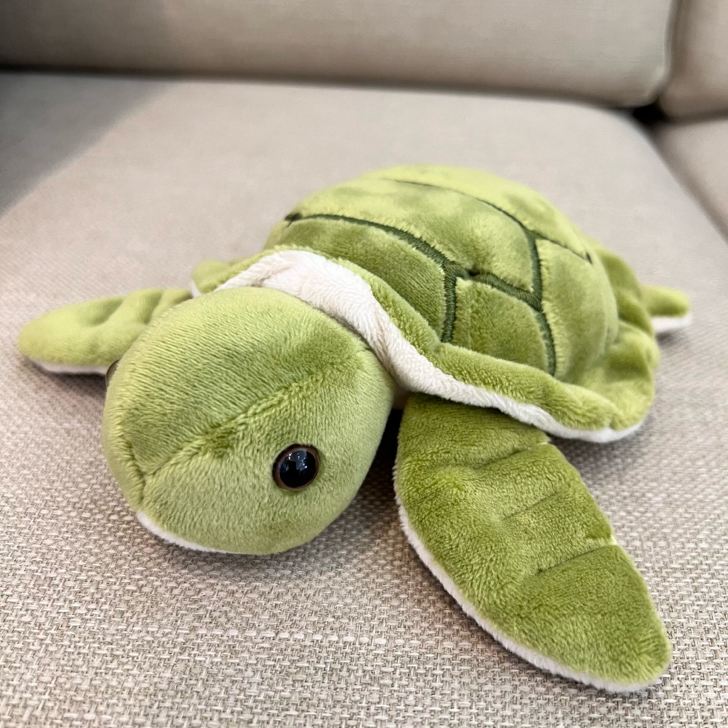 🐢海生館 小海龜娃娃