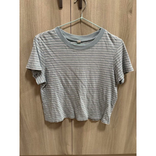 Uniqlo 條紋短版T恤 s號