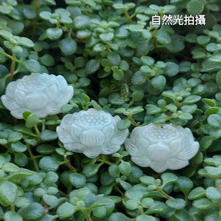 玉 項鍊 翡翠 蓮花🍀清蓮優雅 玉蓮花 項墜 清心簡約 清新脫俗 蓮花項鍊🍀天然A貨翡翠 玉石 🍀手珠 手串各式DIY