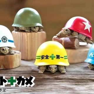 零漣爬蟲 【烏龜安全帽】龜安全帽 水族創意造型 寵物創意玩具