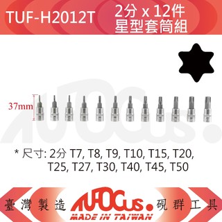 TUFOCUS TUF-H2012T 2分 x 12件星型套筒組