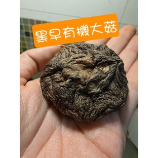 南投黑早有機大菇 中菇 小姑有機黑早冬菇 － 來自山林的純淨鮮味