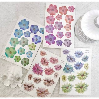 【Imarang】!!!闆娘推薦!!!❤️水彩風格 Watercolor flowers 006 韓國貼紙