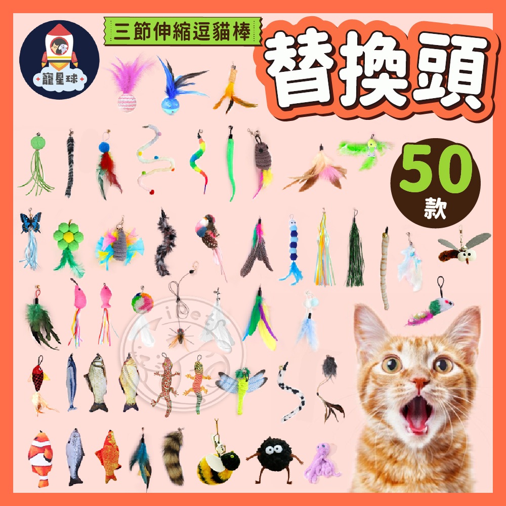 【寵星球】三節逗貓棒 替換頭 逗貓玩具 逗貓羽毛 貓玩具 逗貓替換頭 寵物玩具 伸縮逗貓棒 逗貓棒