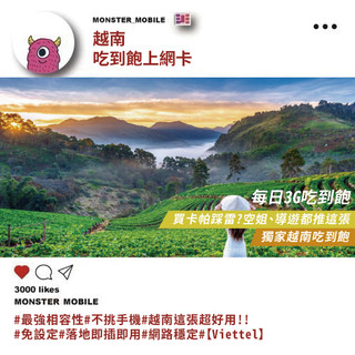 《小怪物通訊行》最新最火 獨家唯一 實際測試超順 越南 4G 喫到飽 網絡卡 SIM卡 (3G)