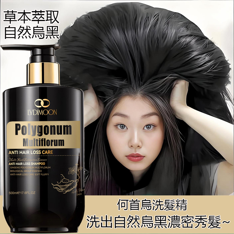 🔥【熱賣】 何首烏洗髮精 黑髮洗髮精 何首烏洗髮乳 500ML 草本洗髮 強健秀髮 潤養髮根 滋養頭皮 自然黑髮
